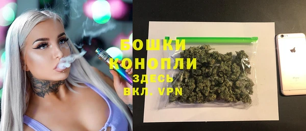 гидра Тайга