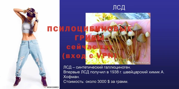 прущие крисы Надым