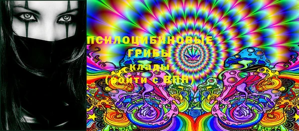 спайс Сясьстрой